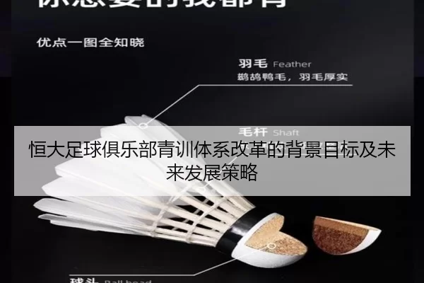 恒大足球俱乐部青训体系改革的背景目标及未来发展策略